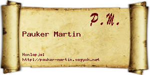 Pauker Martin névjegykártya